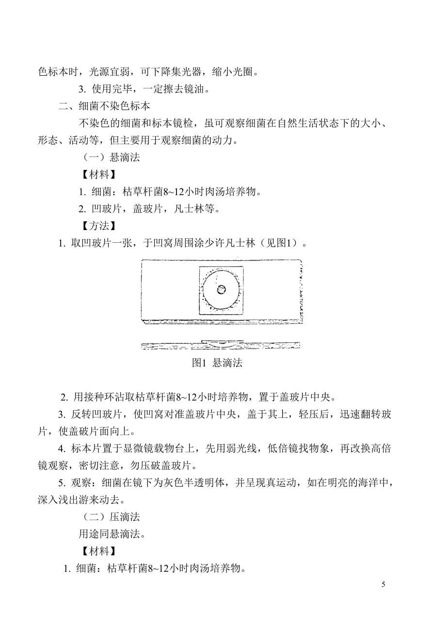 医学微生物学实验指导_第5页