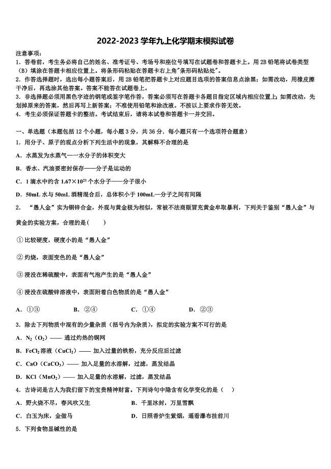 2022-2023学年广东省深圳市罗湖区文锦中学九年级化学第一学期期末学业水平测试试题含解析.doc