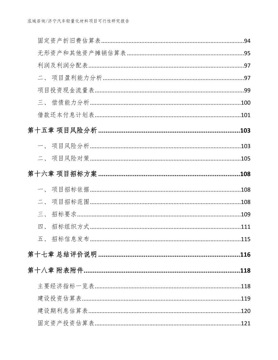 济宁汽车轻量化材料项目可行性研究报告模板范本_第5页