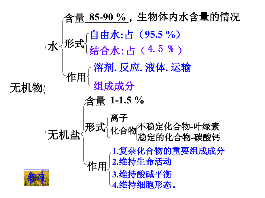 125细胞中的无机物_第3页