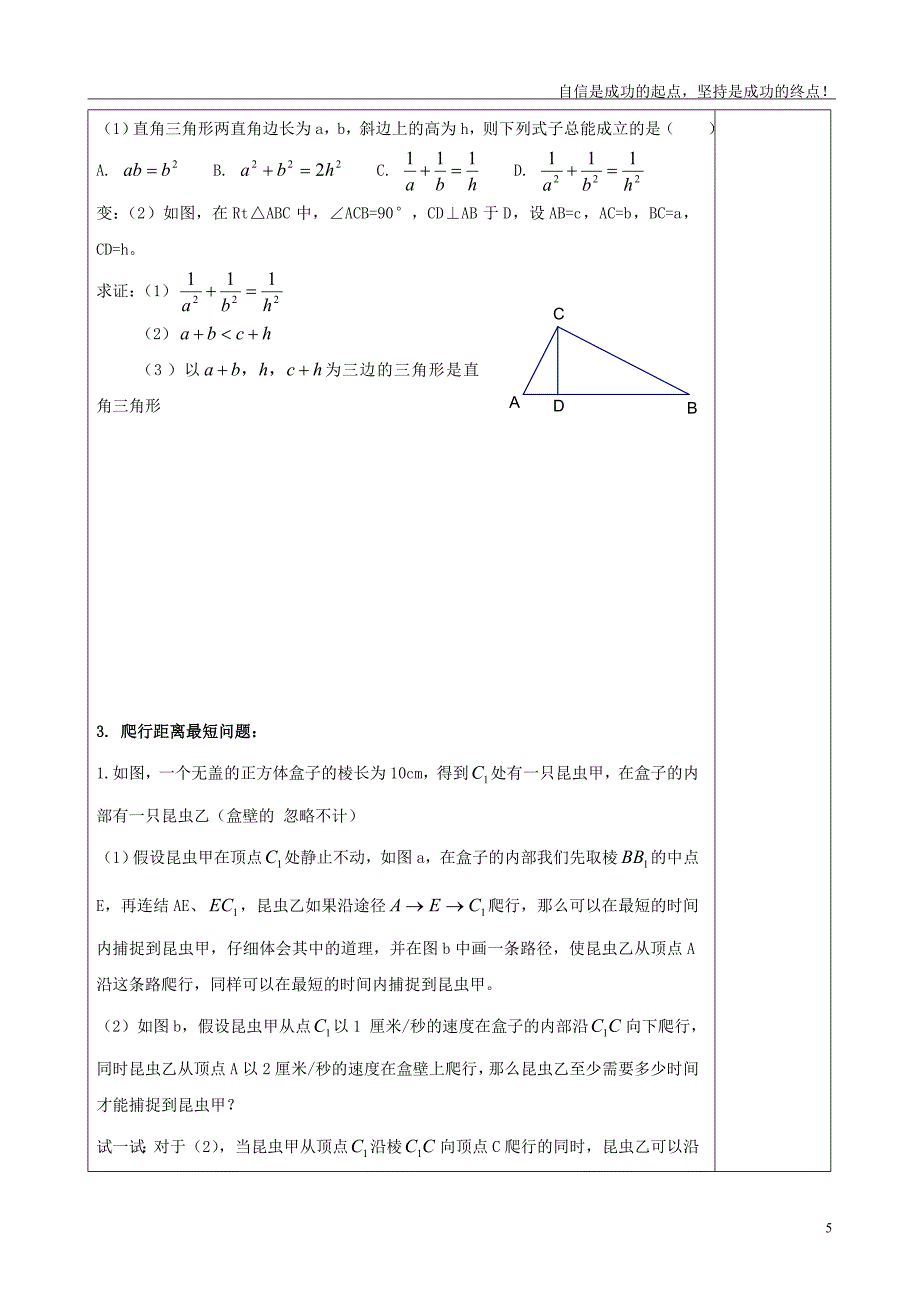 鲁教版七年级上册数学第三章勾股定理_第5页