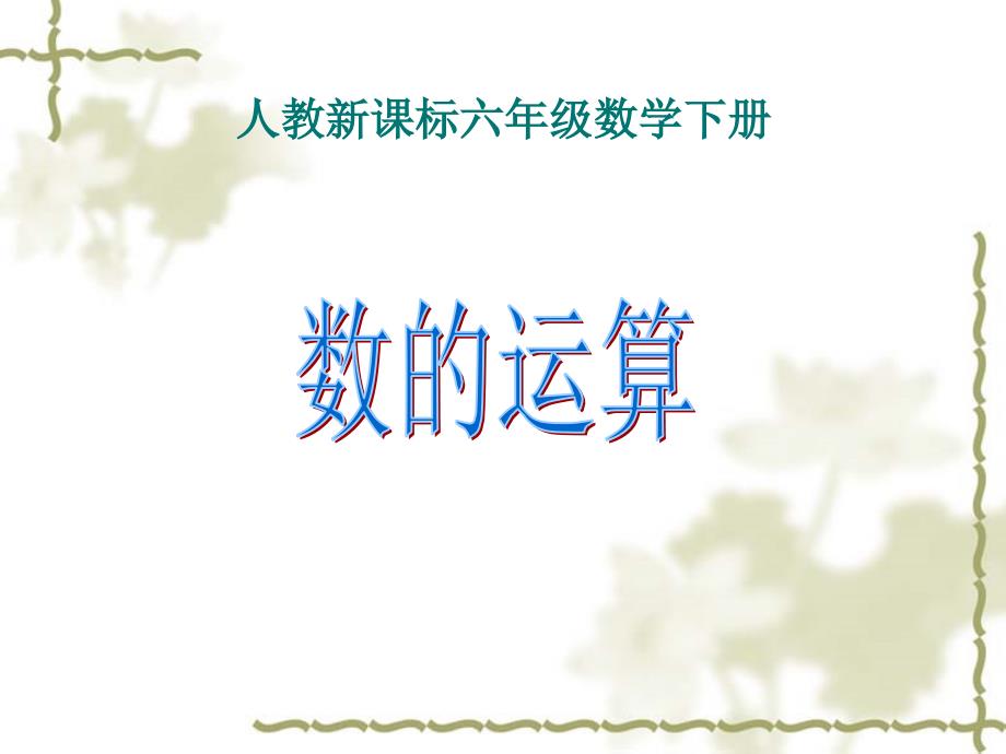 人教新课标数学六年级下册《数与代数——数的运算-1》PPT课件_第1页