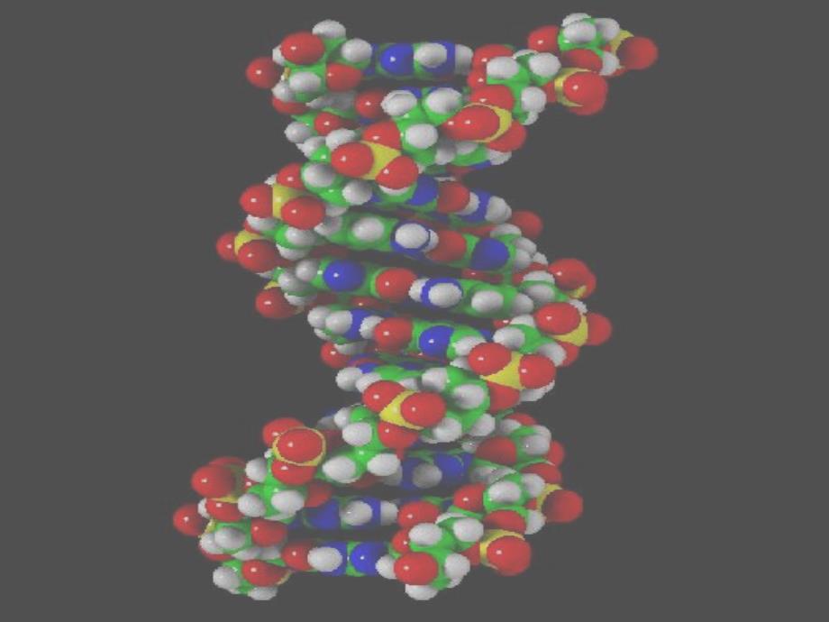 分子间存在引力课件_第2页