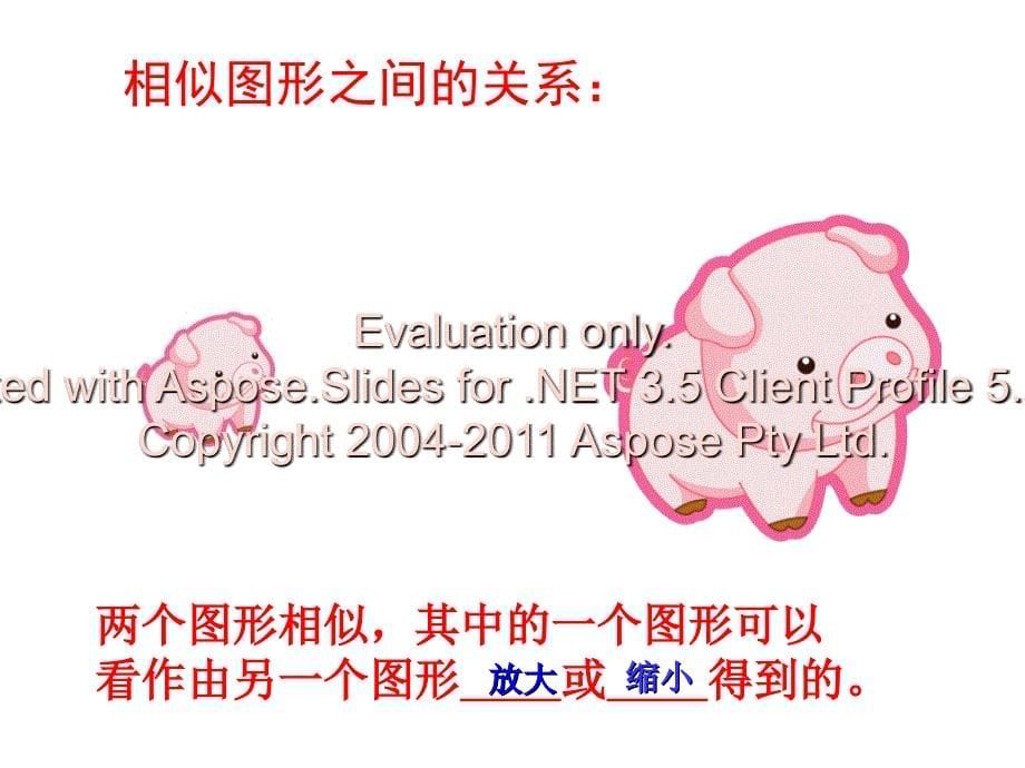 德州市初中数学教师优质课比赛一等奖课件——图形的相似_第5页