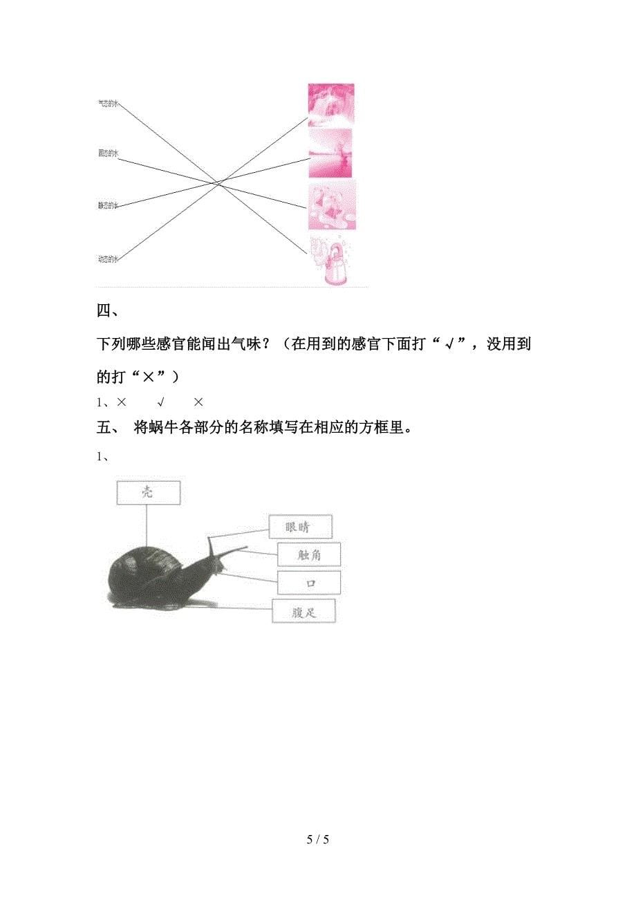 2022年一年级科学(上册)期中考试卷及答案.doc_第5页