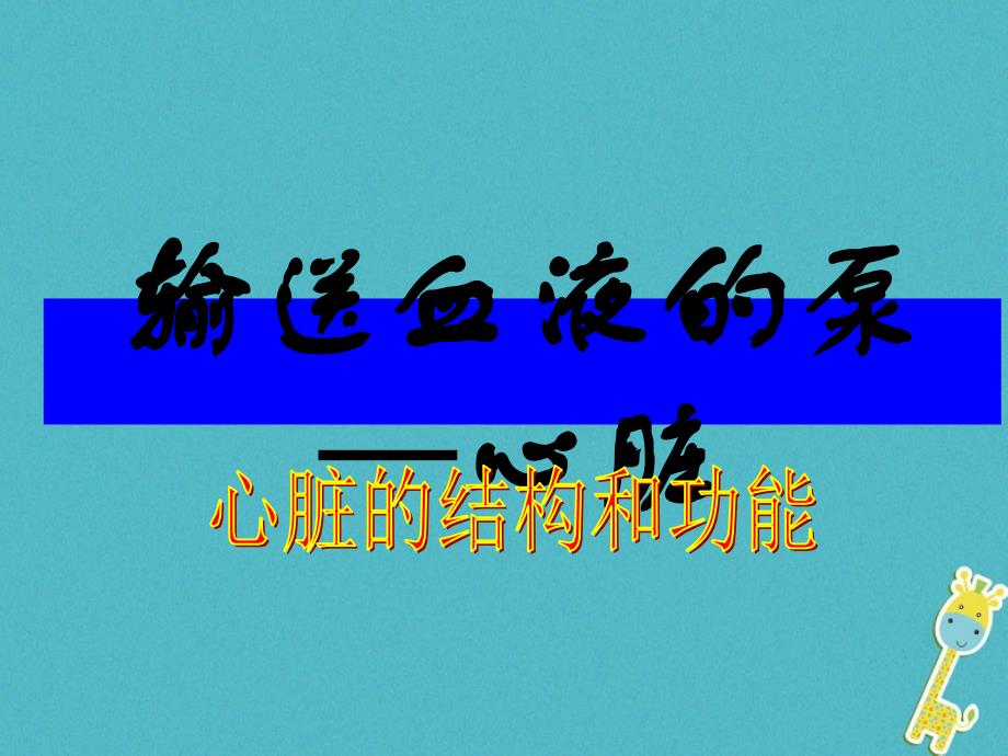 七年级生物下册443输送血液泵心脏课件新版新人教版_第1页