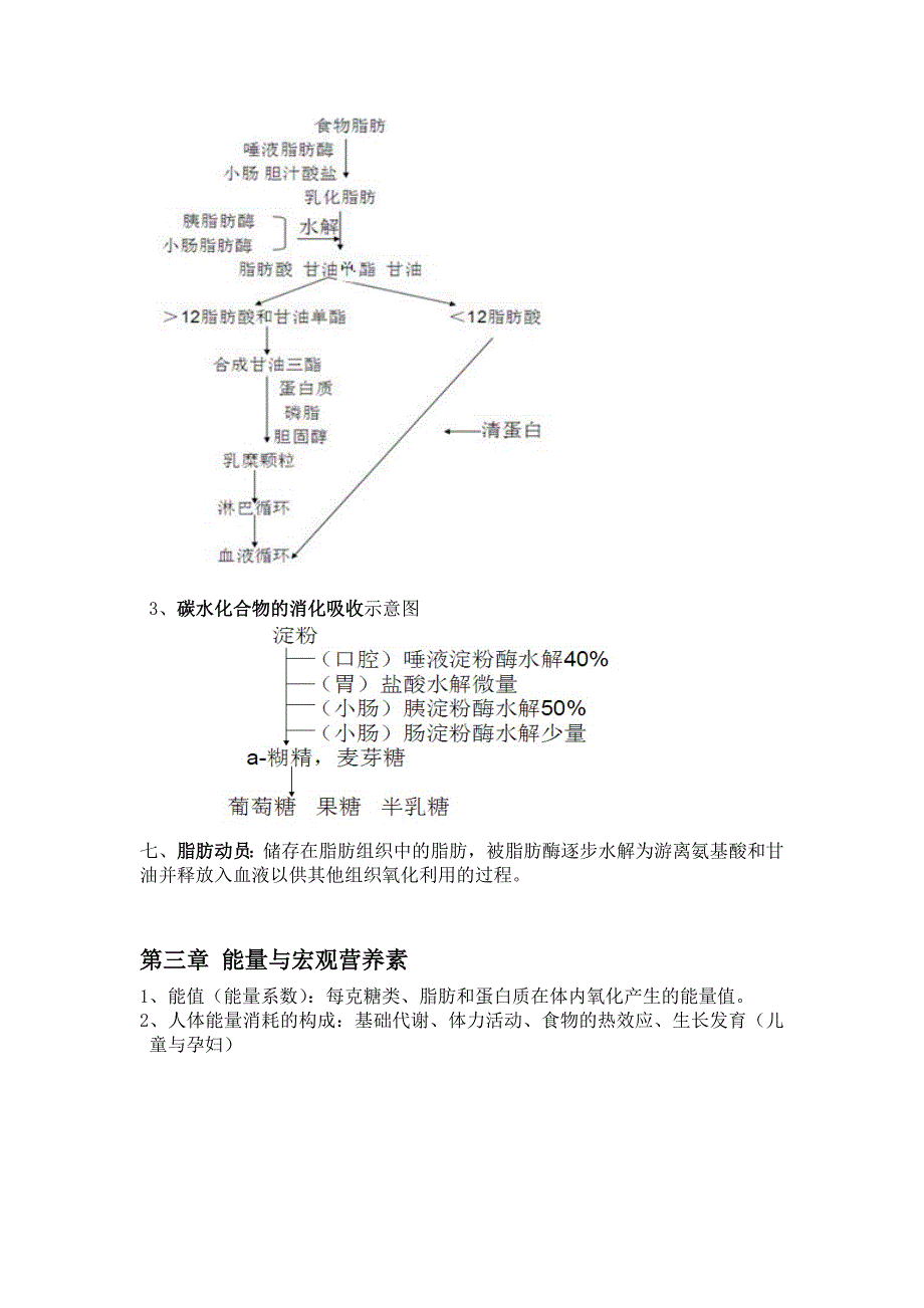 食品营养学复习要点.doc_第4页