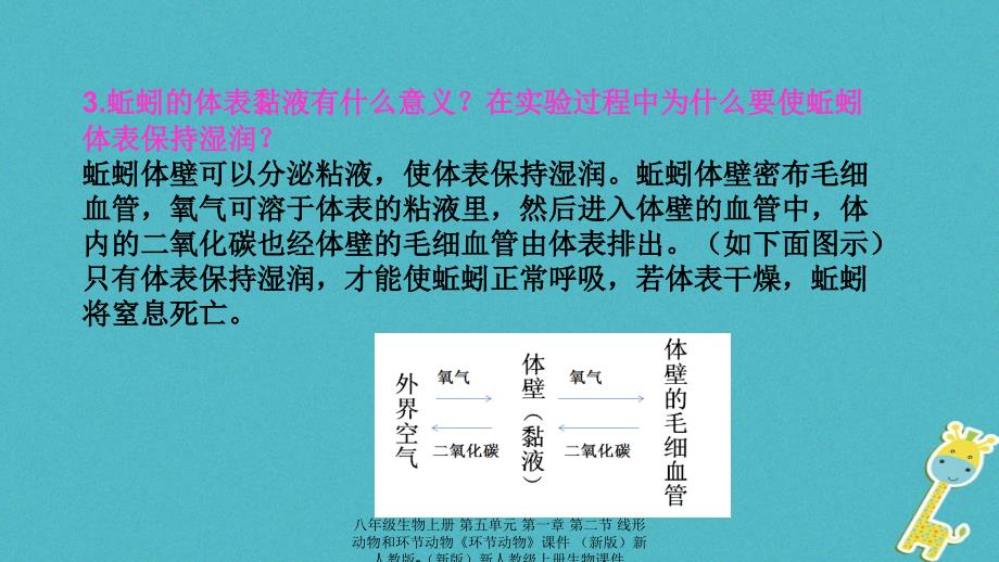 最新八年级生物上册第五单元第一章第二节线形动物和环节动物环节动物_第3页