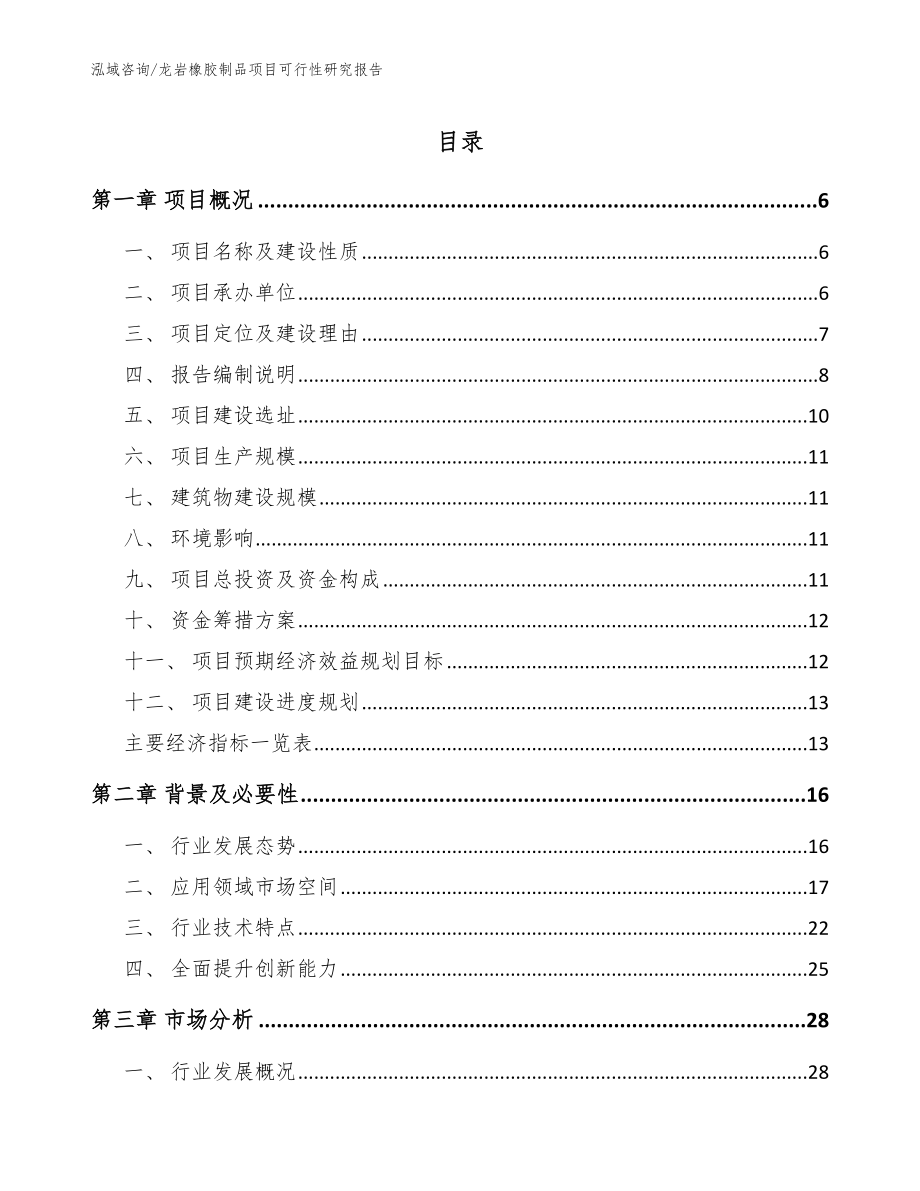 龙岩橡胶制品项目可行性研究报告_范文_第1页