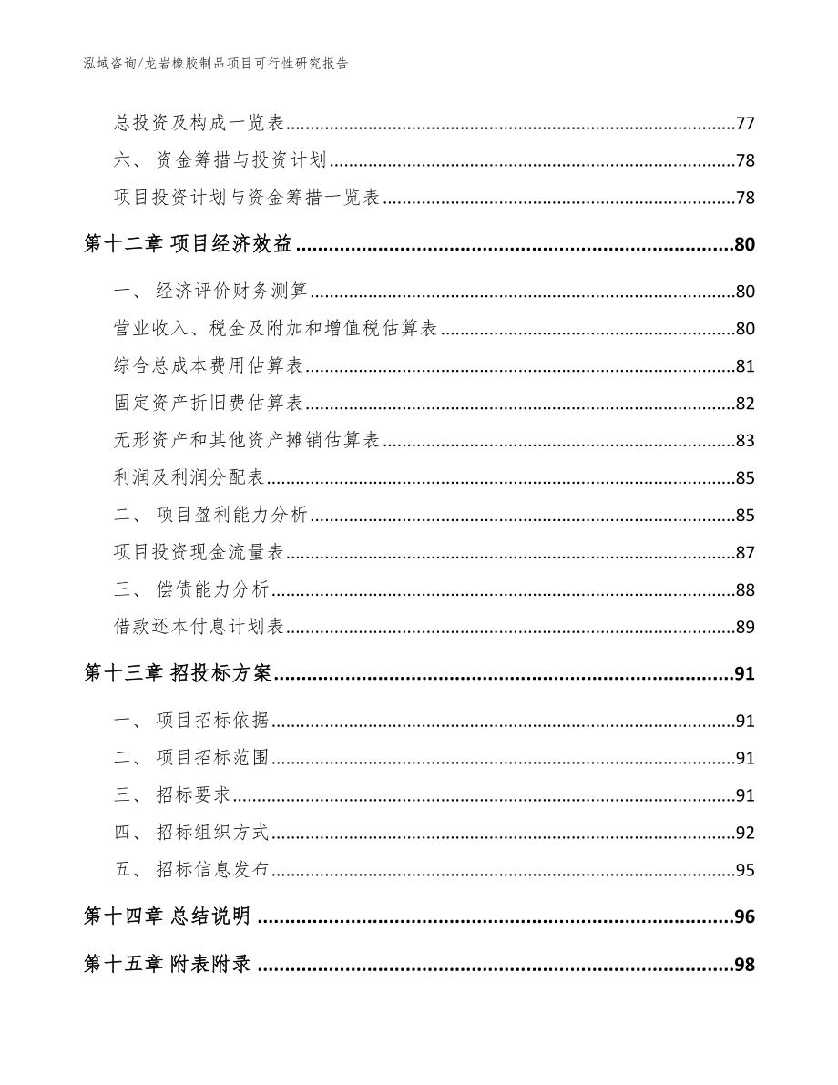 龙岩橡胶制品项目可行性研究报告_范文_第4页