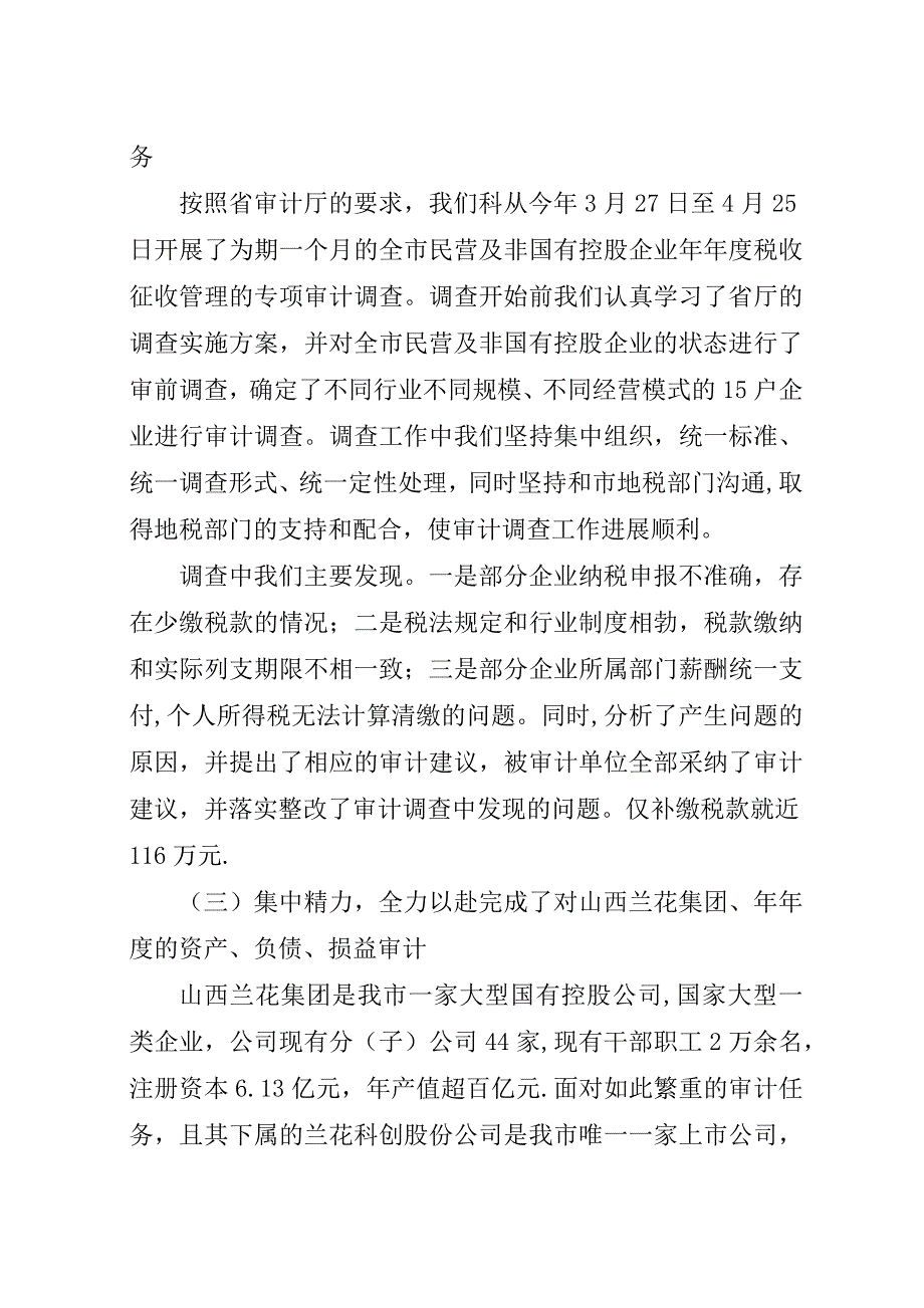 审计科全年工作汇报.docx_第2页