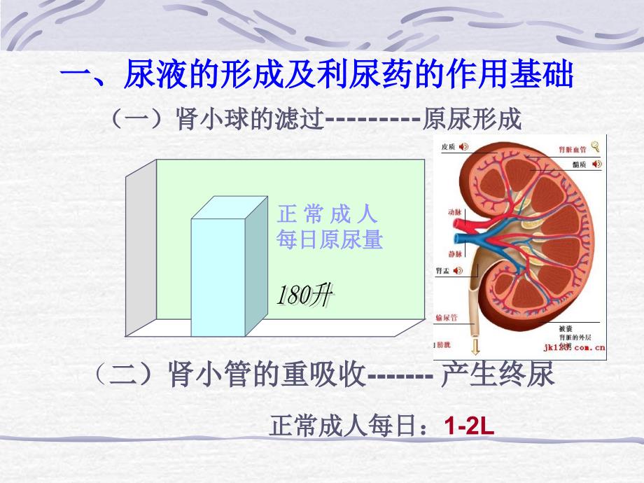 利尿剂和脱水药_第4页