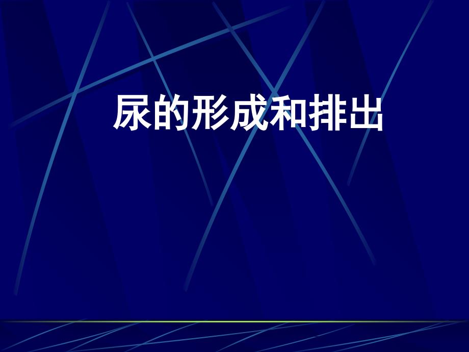 最新并将人体内的废物收集起来排出体外促进人的新陈代谢PPT课件_第2页