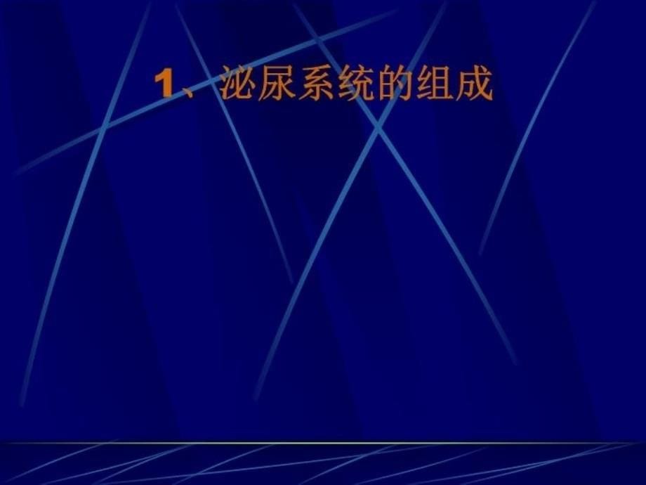 最新并将人体内的废物收集起来排出体外促进人的新陈代谢PPT课件_第5页