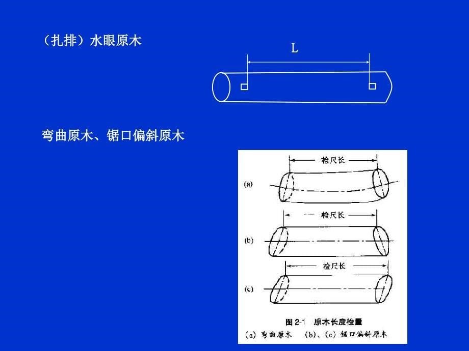 《原木检验与保管》PPT课件.ppt_第5页