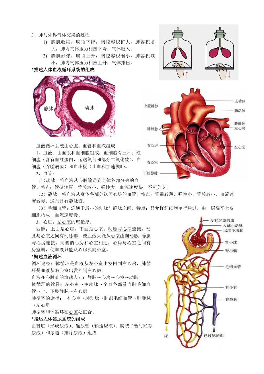 七年级下册生物复习资料整理.doc_第4页