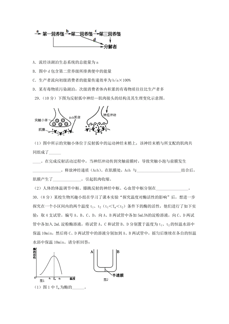 四川省宜宾市第四中学2020届高三生物一诊模拟试题_第2页