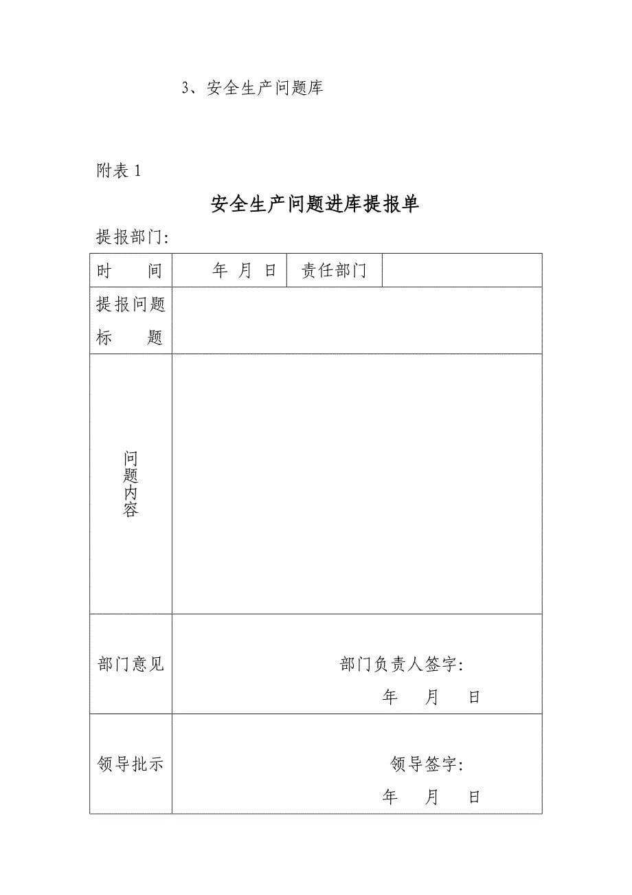 安全问题库管理制度.doc_第5页