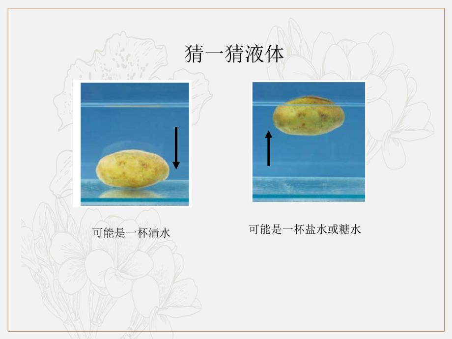 教科版五年级科学下册课件PPT 探究马铃薯沉浮的原因 1_第2页