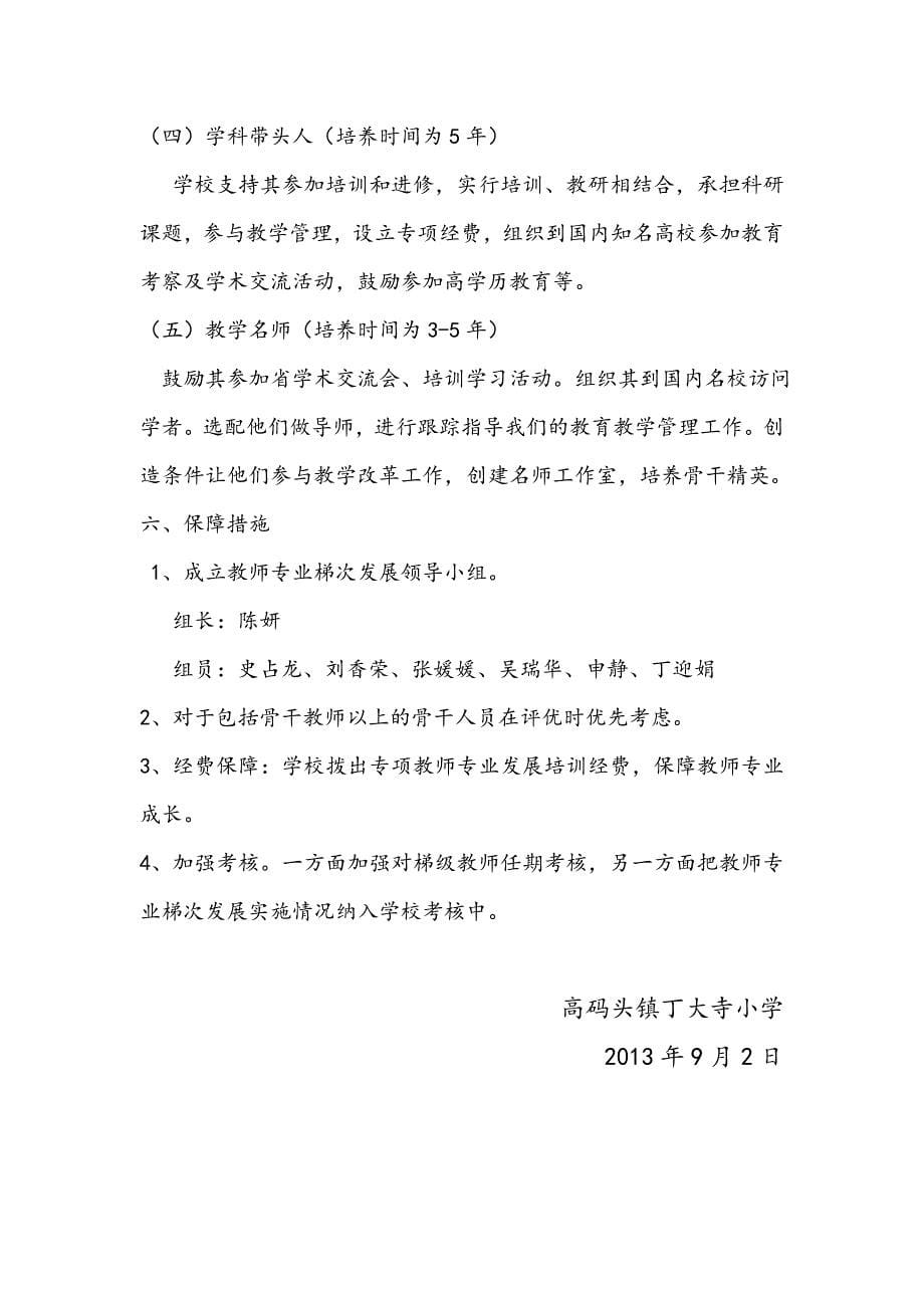 教师专业发展梯次培养计划.doc_第5页