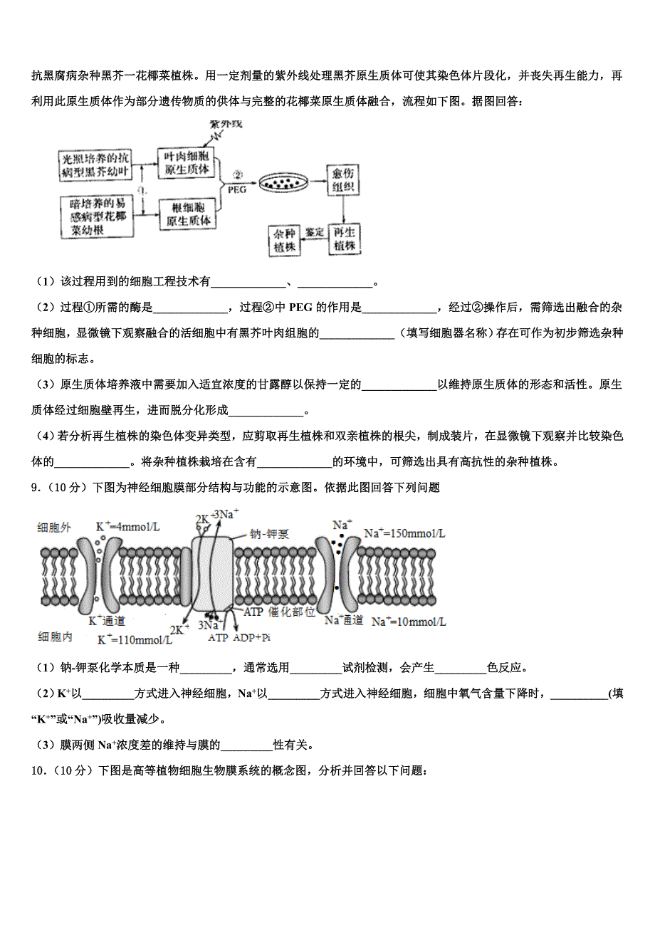 2022学年江西省南昌市新建二中生物高二下期末联考试题(含解析).doc_第3页