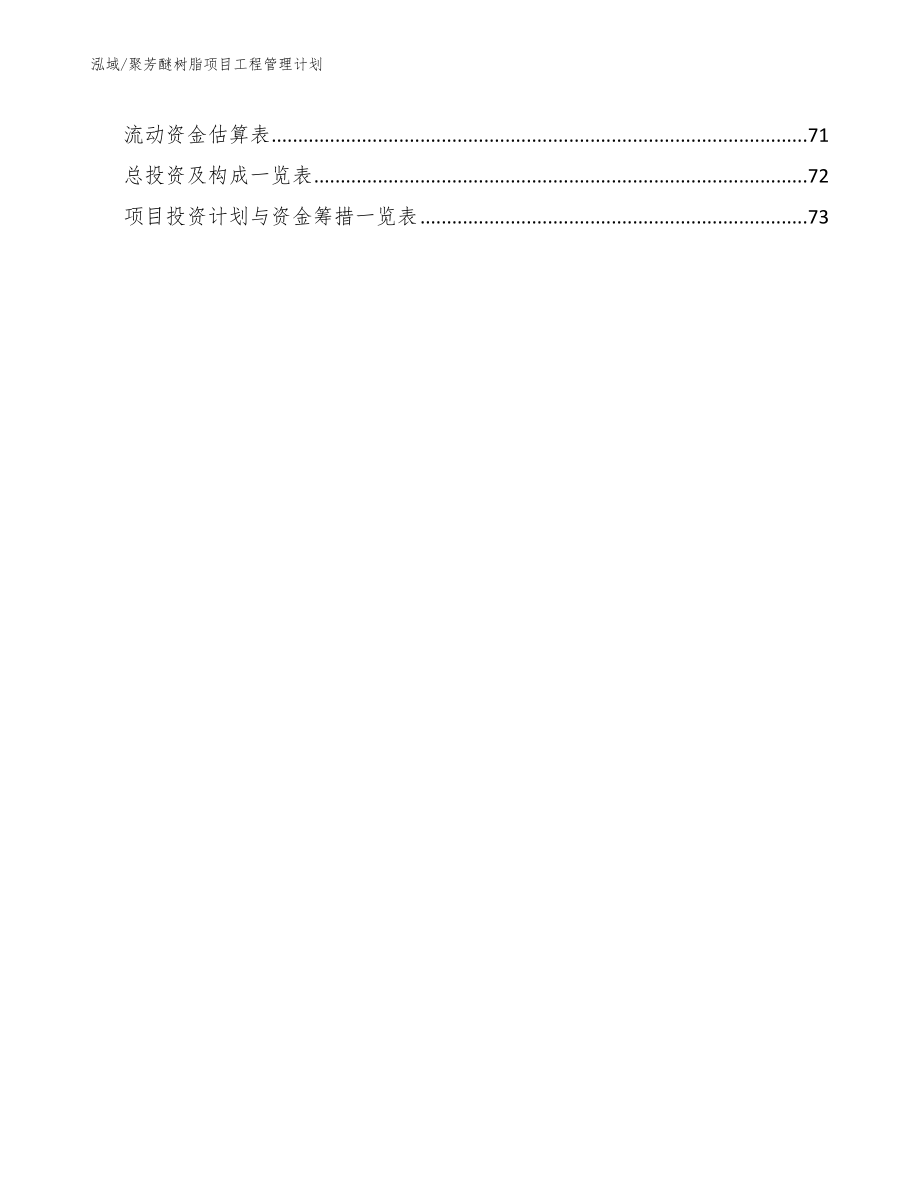 聚芳醚树脂项目工程管理计划（范文）_第2页