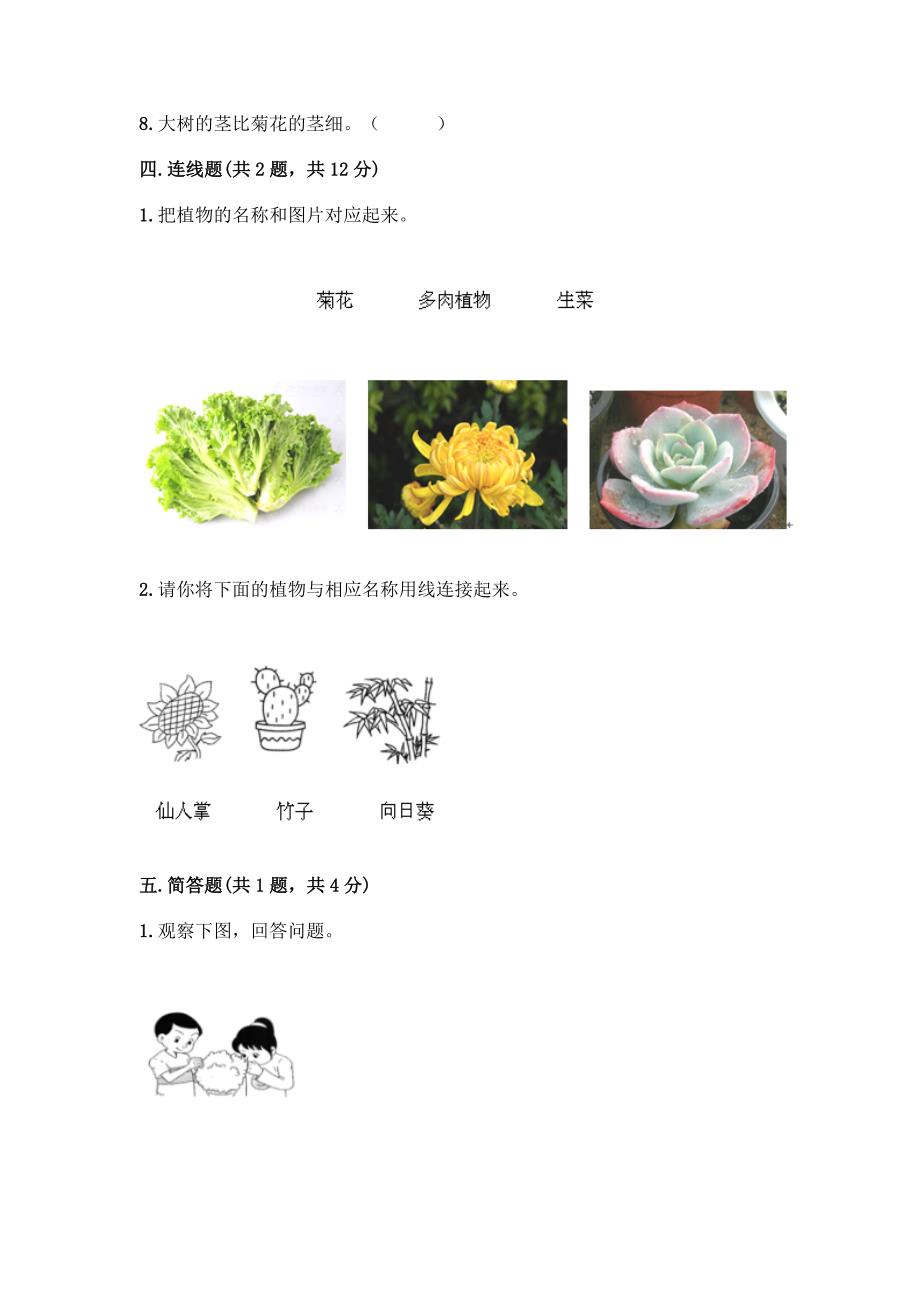 教科版科学一年级上册第一单元《植物》测试卷附参考答案(综合题).docx_第4页