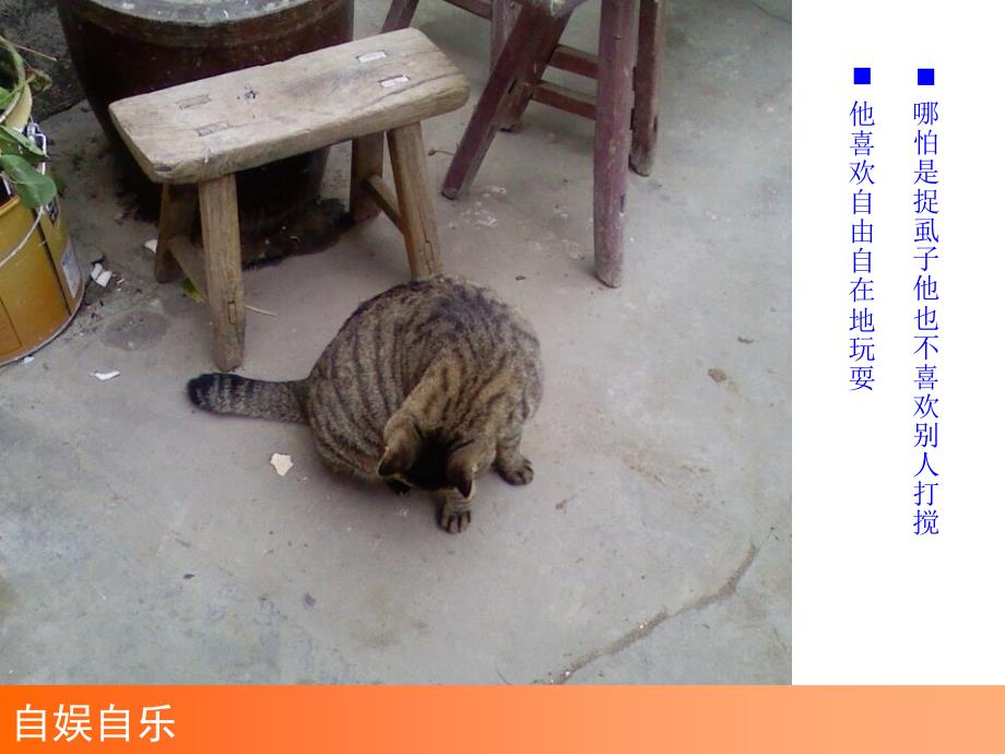 独孤求败机器猫大战拖把_第3页