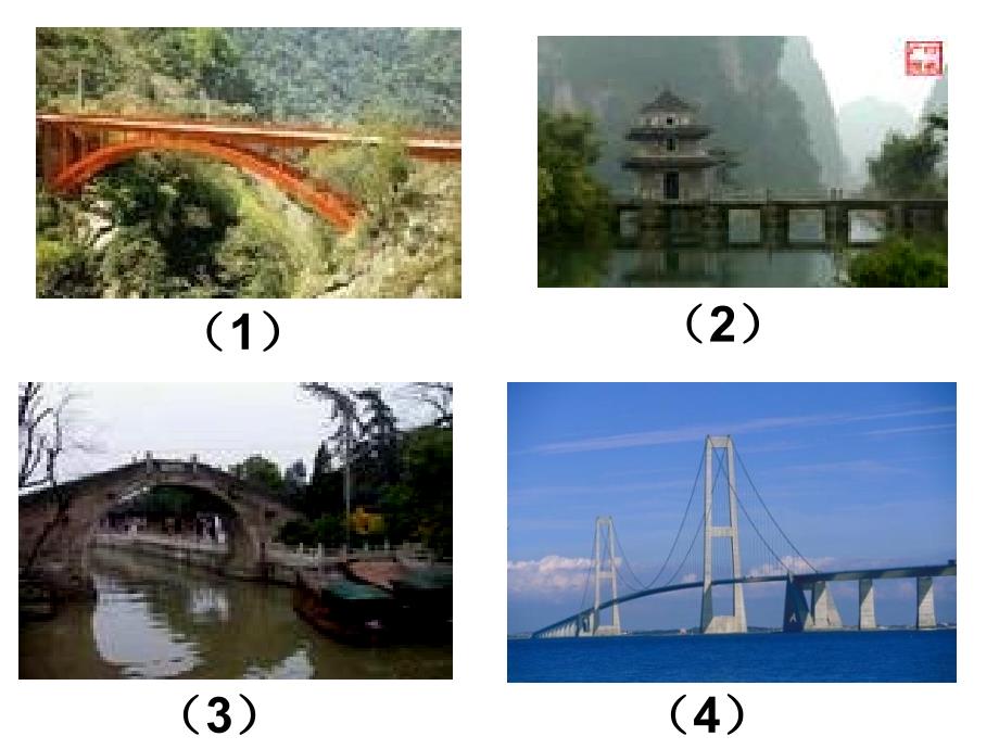 苏教版五年级下科学建桥梁_第2页