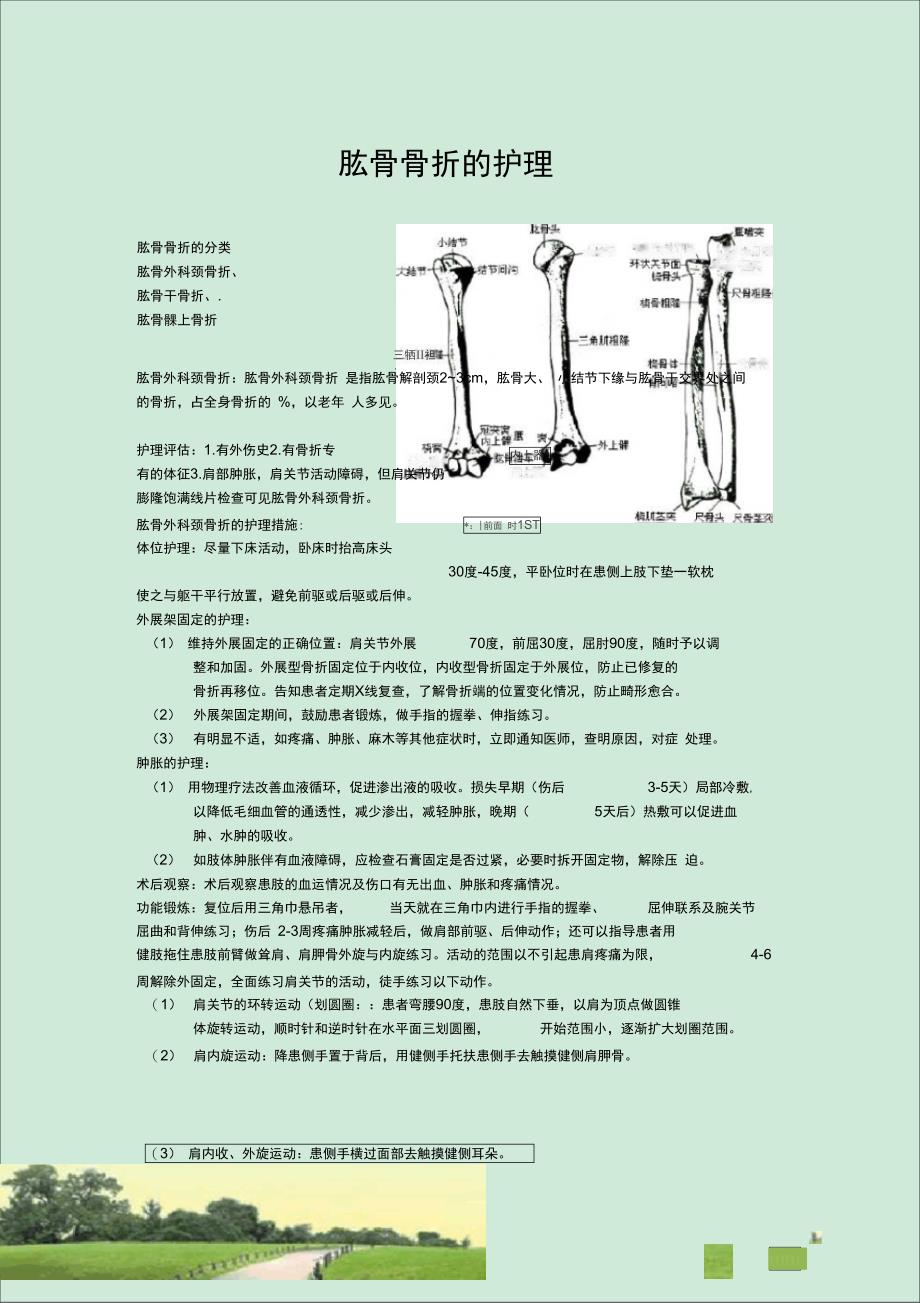 肱骨骨折的护理_第1页