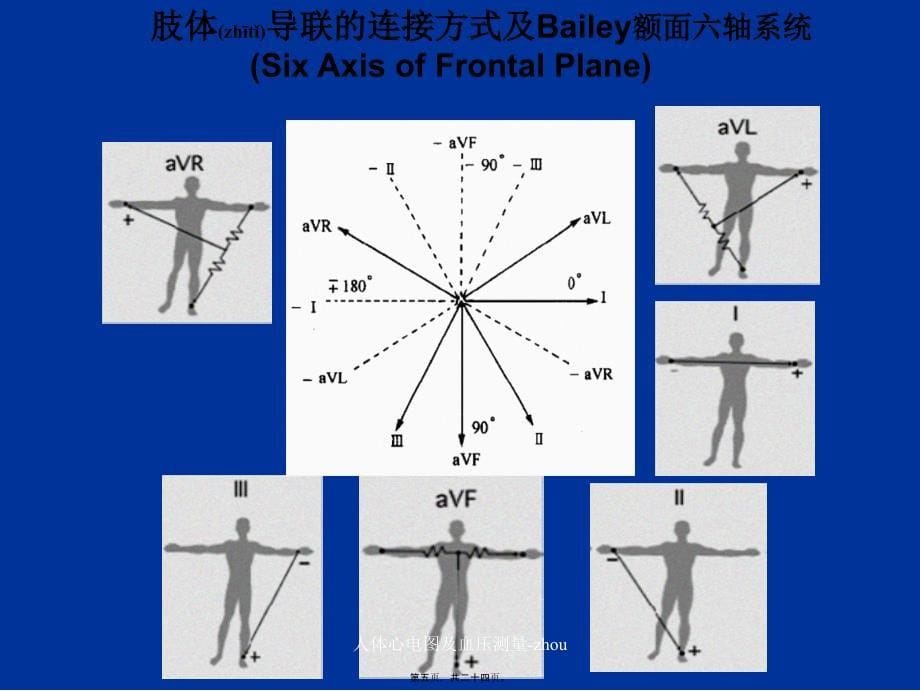 人体心电图及血压测量-zhou课件_第5页