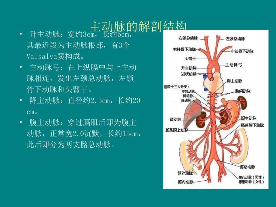 主动脉夹层的病例讨论_第2页