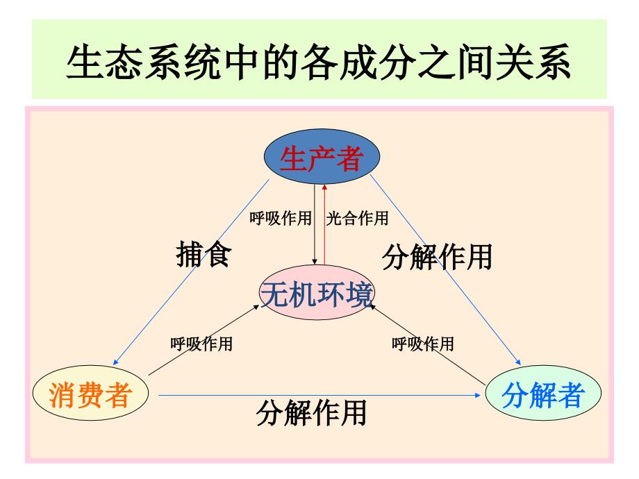 生态系统的结构和功能课件_第2页