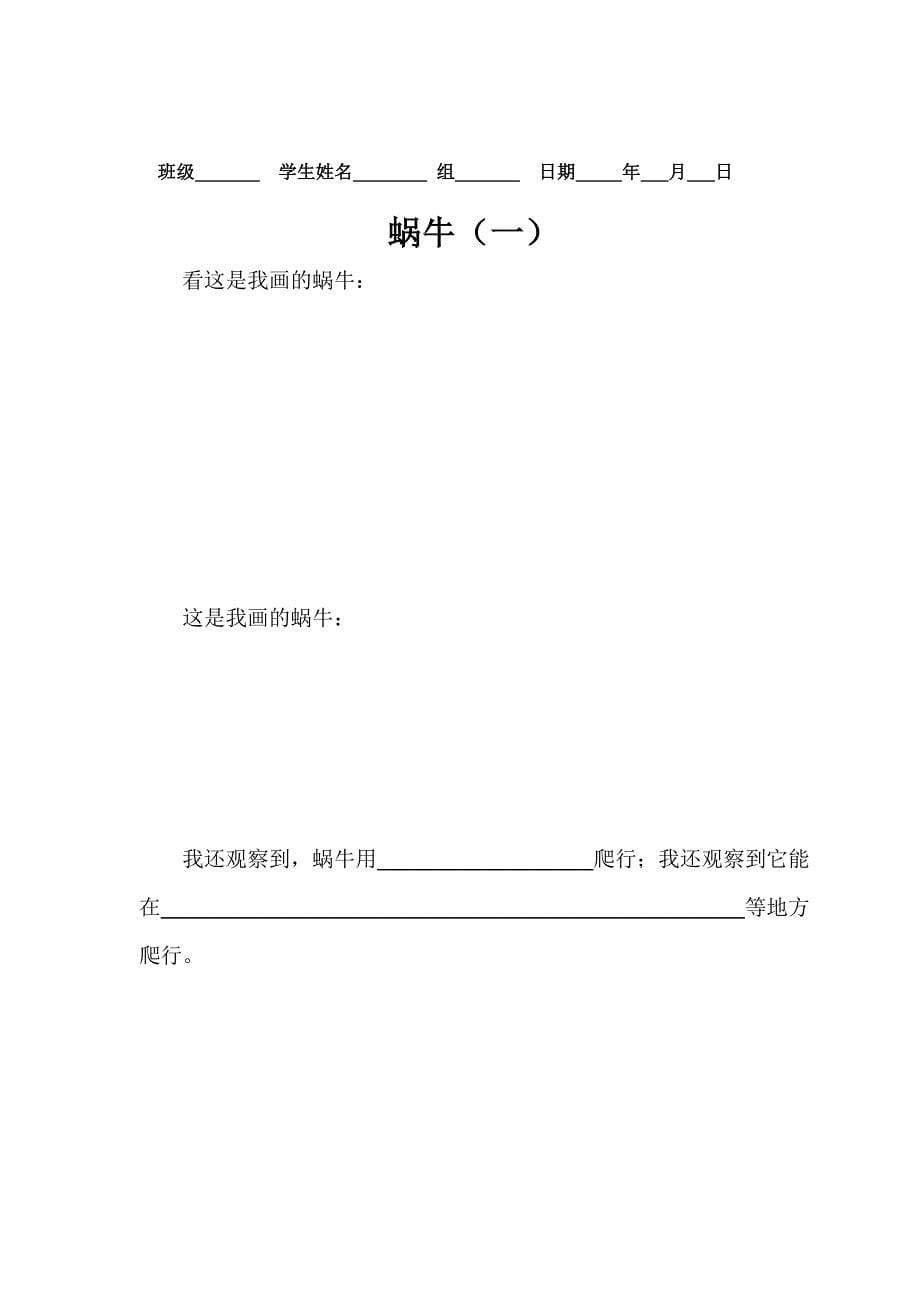 教科版三年级科学上册实验单.doc_第5页