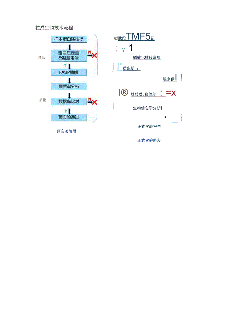 磷酸化TMT蛋白组学的具体步骤及方法_第2页