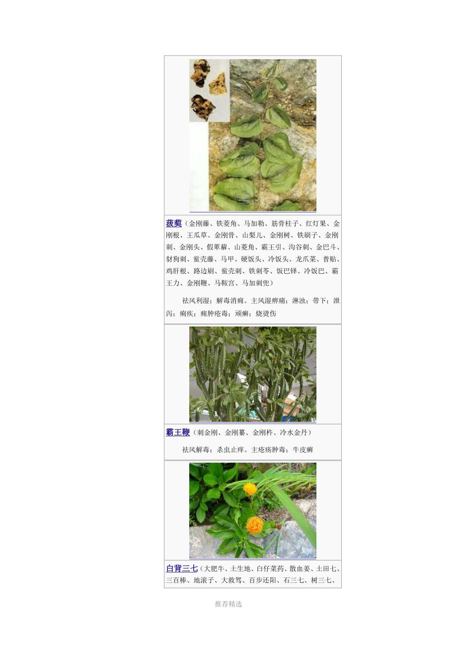 3000种中医药材第11-100种_第2页