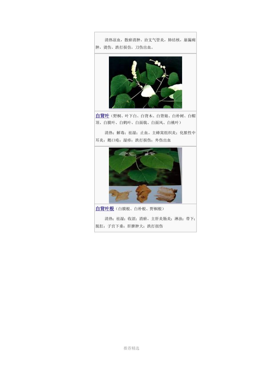 3000种中医药材第11-100种_第4页