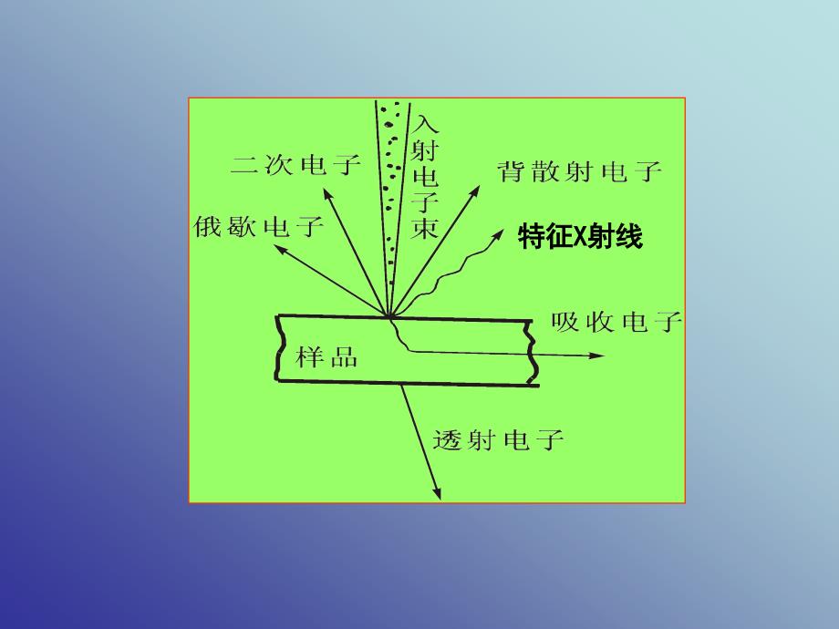 电子探针显微分析ppt课件_第2页