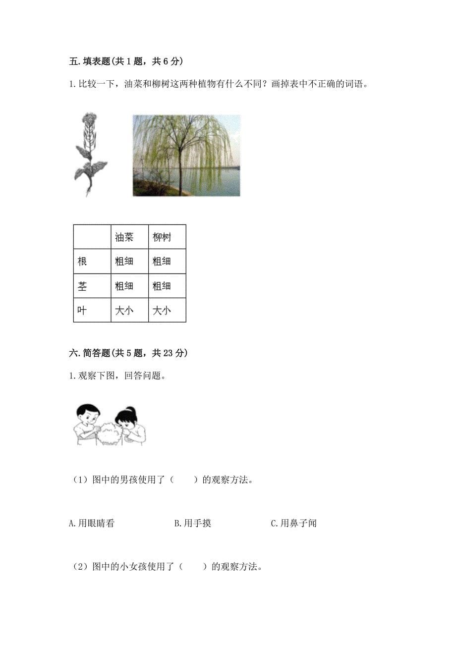 教科版小学一年级上册科学期末测试卷精品(a卷).docx_第5页