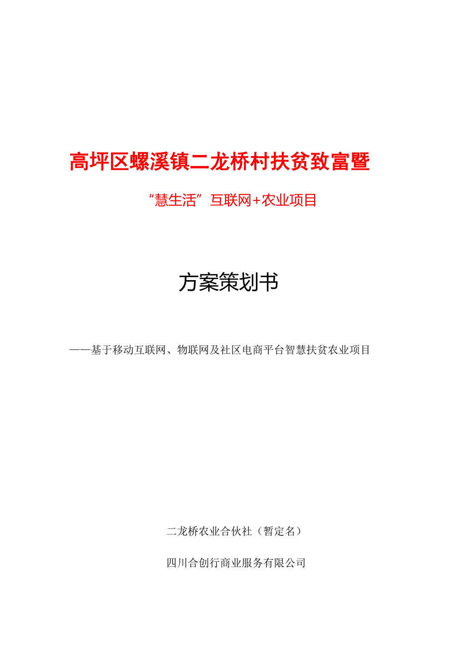 二龙桥村扶贫项目方案书定稿样本.docx_第1页