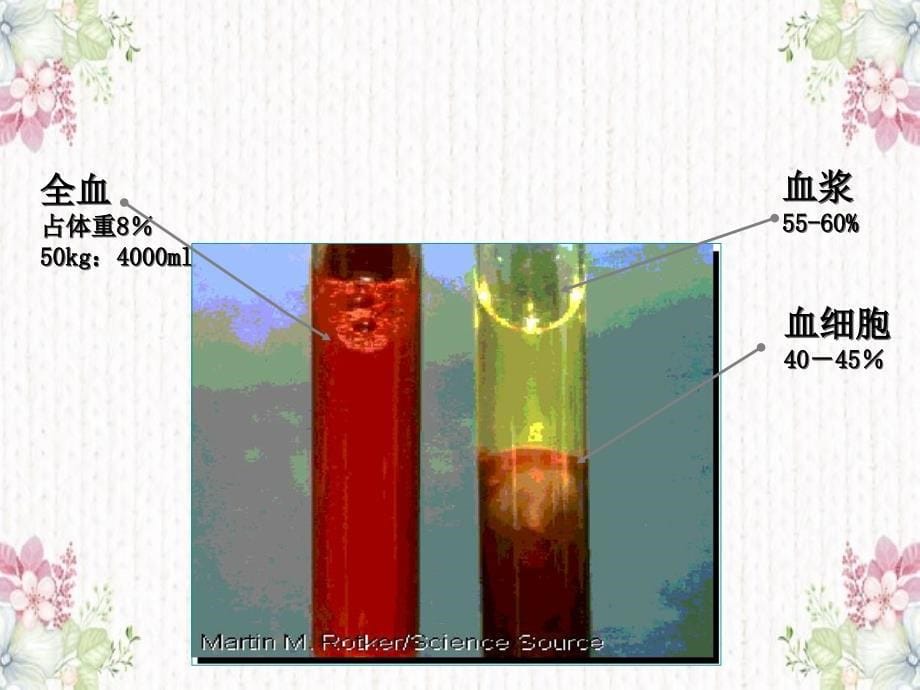 血液及血液成分制备和保存_第5页