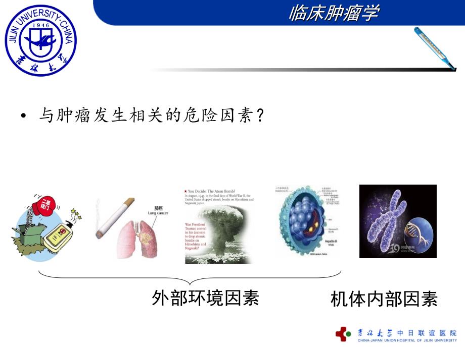 最新肿瘤发生危险因素和三级预防9PPT文档_第2页