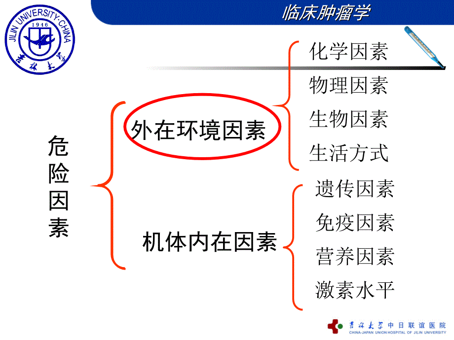 最新肿瘤发生危险因素和三级预防9PPT文档_第3页