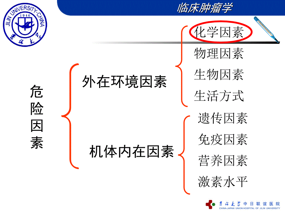 最新肿瘤发生危险因素和三级预防9PPT文档_第4页