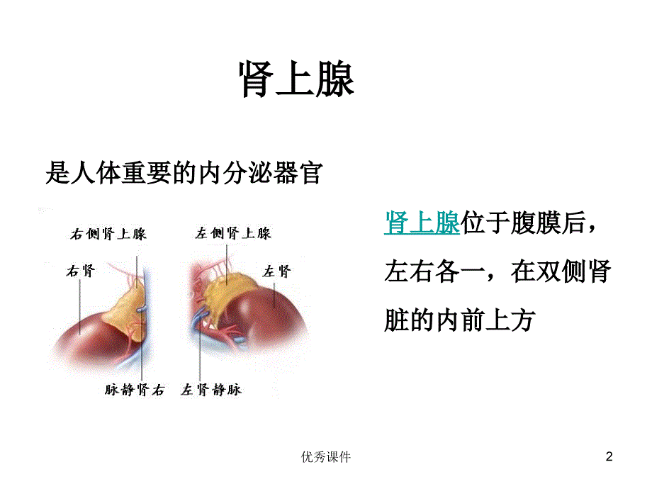 嗜铬细胞瘤手术的麻醉【医疗资料】_第2页