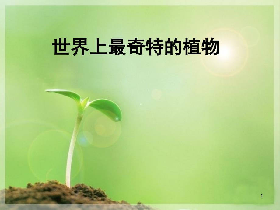 世界上最奇特的植物ppt课件_第1页