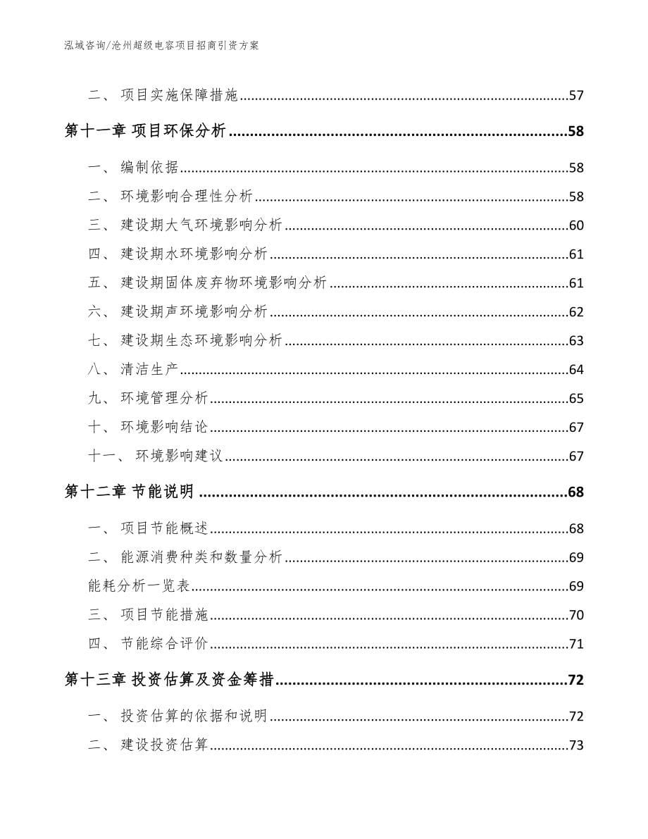 沧州超级电容项目招商引资方案（模板范本）_第5页