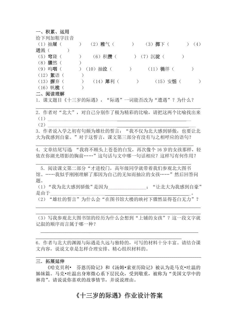 八《十三岁的际遇》教案.doc_第5页