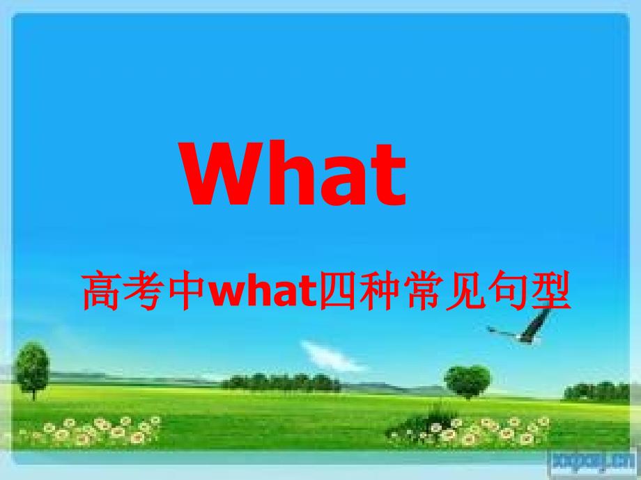 What引导的名词性从句的翻译方法_第1页