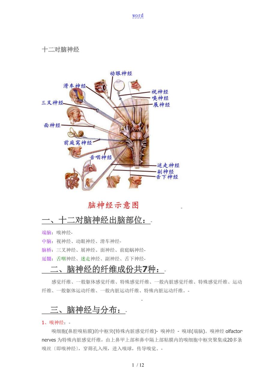 十二对脑神经附图_第1页